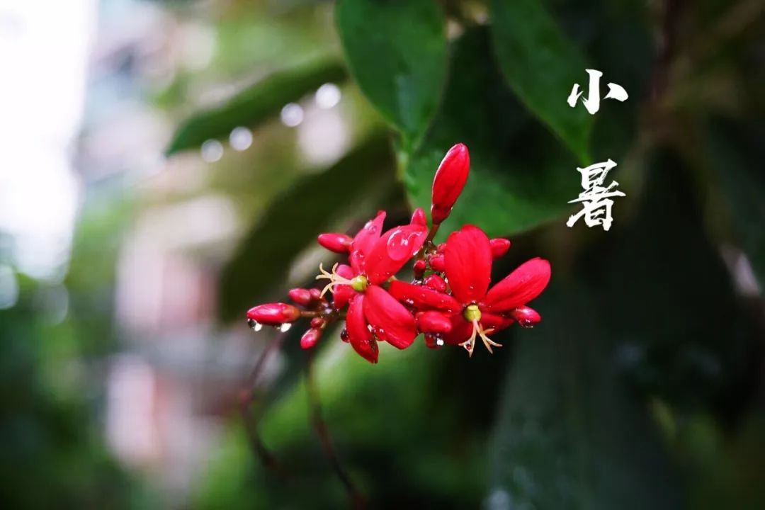 小暑|時(shí)光無(wú)涯，KA螺旋錐減速機(jī)廠家