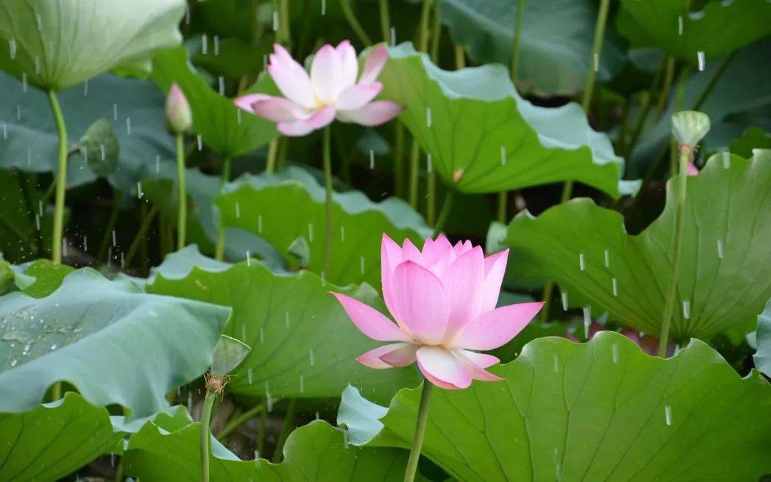 小暑|時(shí)光無(wú)涯，KA螺旋錐減速機(jī)廠家